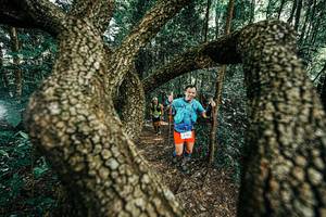 BIB: 
                            <button type="button" onclick="openModal(25392638)" class="btn btn-primary btn-sm float-right btn-popup" data-toggle="modal" data-target=".modal-high-quality">
                        <i class="fas fa-shopping-cart"></i> Add to Cart
                    </button>
                                            <button type="button" onclick="isThisMe(25392638, true)" class="btn btn-success btn-sm float-right btn-popup btn-isme hidden" data-toggle="tooltip" data-placement="bottom" title="นี่คือรูปของคุณใช่ไหม คลิกที่นี่เพื่อเอาเข้าอัลบั้ม">
                        <i class="fas fa-plus"></i> Add to album
                    </button>
                    <button type="button" onclick="isThisMe(25392638, false)" class="btn btn-warning btn-sm float-right btn-popup btn-isnotme hidden">
                        <i class="fas fa-ban"></i> Remove from album
                    </button>